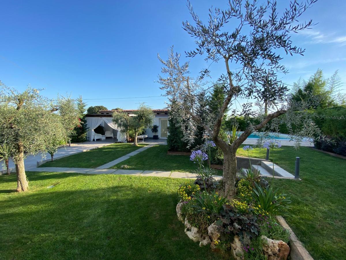 Mincio Relais Bed and Breakfast Castelnuovo del Garda Buitenkant foto